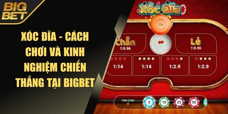 Xóc đĩa